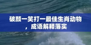 破颜一笑打一最佳生肖动物，成语解释落实