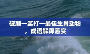 破颜一笑打一最佳生肖动物，成语解释落实