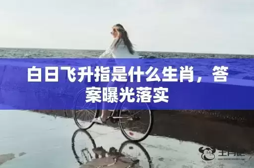 白日飞升指是什么生肖，答案曝光落实