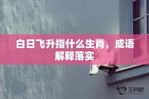 白日飞升指什么生肖,成语解释落实 白日飞升指什么生肖,成语解释落实