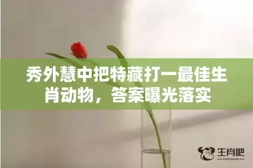 秀外慧中把特藏打一最佳生肖动物,答案曝光落实 秀外慧中把特藏打一最佳生肖动物,答案曝光落实