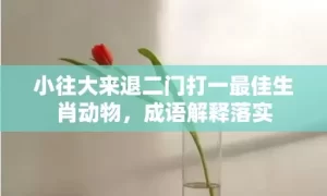 小往大来退二门打一最佳生肖动物，成语解释落实