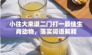 小往大来退二门打一最佳生肖动物，落实词语解释