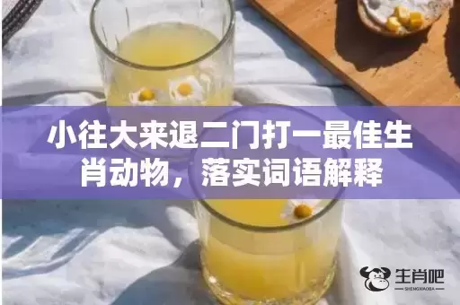 小往大来退二门打一最佳生肖动物，落实词语解释