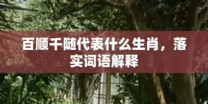 百顺千随代表什么生肖，落实词语解释