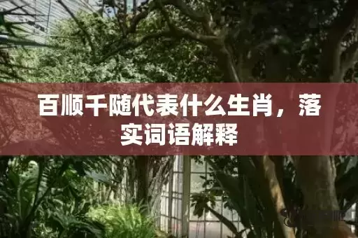 百顺千随代表什么生肖,落实词语解释 百顺千随代表什么生肖,落实词语解释