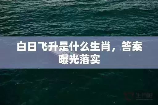 白日飞升是什么生肖，答案曝光落实