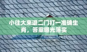 小往大来退二门打一准确生肖，答案曝光落实