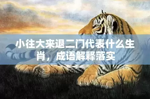 小往大来退二门代表什么生肖，成语解释落实