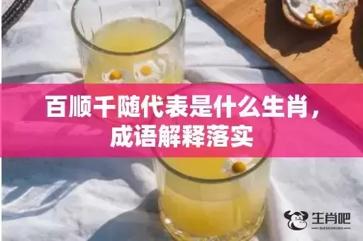 百顺千随代表是什么生肖，成语解释落实