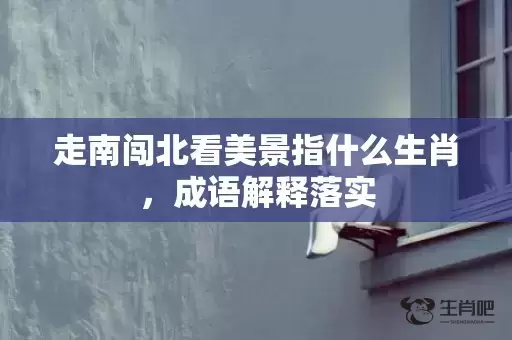 走南闯北看美景指什么生肖,成语解释落实 走南闯北看美景指什么生肖,成语解释落实