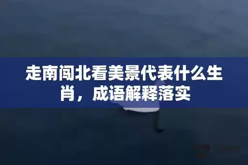 走南闯北看美景代表什么生肖,成语解释落实 走南闯北看美景代表什么生肖,成语解释落实