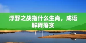 浮野之战指什么生肖，成语解释落实