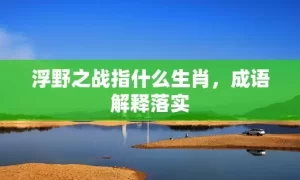 浮野之战指什么生肖，成语解释落实