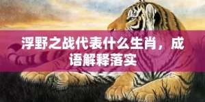 浮野之战代表什么生肖，成语解释落实