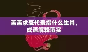 苦苦求衰代表指什么生肖，成语解释落实