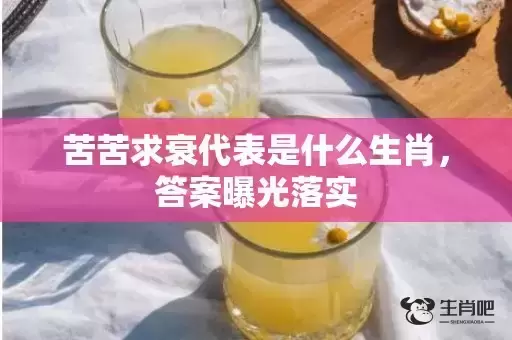 苦苦求衰代表是什么生肖，答案曝光落实