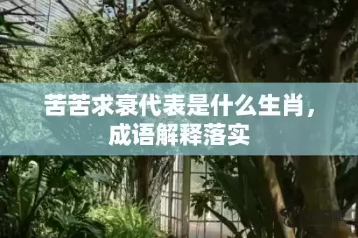 苦苦求衰代表是什么生肖,成语解释落实 苦苦求衰代表是什么生肖,成语解释落实