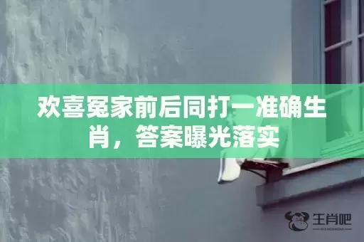 欢喜冤家前后同打一准确生肖，答案曝光落实