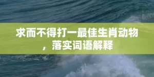 求而不得打一最佳生肖动物，落实词语解释