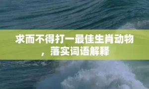 求而不得打一最佳生肖动物，落实词语解释