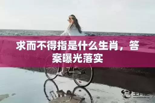 求而不得指是什么生肖，答案曝光落实