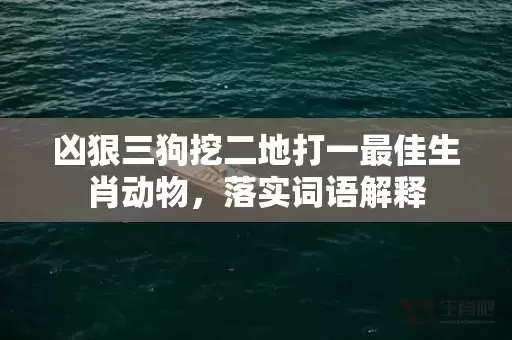 凶狠三狗挖二地打一最佳生肖动物,落实词语解释 凶狠三狗挖二地打一最佳生肖动物,落实词语解释