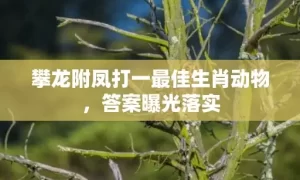 攀龙附凤打一最佳生肖动物，答案曝光落实