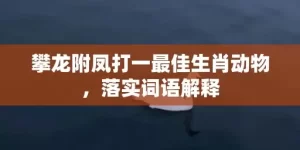 攀龙附凤打一最佳生肖动物，落实词语解释