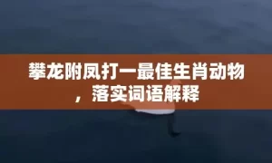 攀龙附凤打一最佳生肖动物，落实词语解释