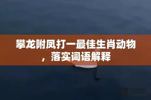 攀龙附凤打一最佳生肖动物,落实词语解释 攀龙附凤打一最佳生肖动物,落实词语解释