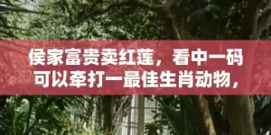 侯家富贵卖红莲，看中一码可以牵打一最佳生肖动物，落实词语解释