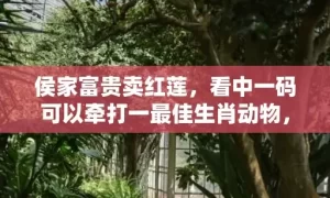 侯家富贵卖红莲，看中一码可以牵打一最佳生肖动物，落实词语解释