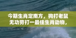 今期生肖定南方，狗打老鼠无功劳打一最佳生肖动物，落实词语解释