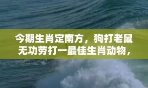 今期生肖定南方，狗打老鼠无功劳打一最佳生肖动物，落实词语解释