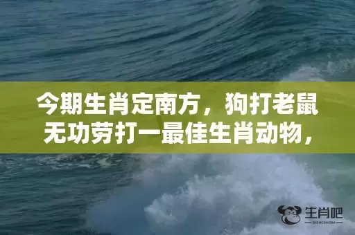 今期生肖定南方，狗打老鼠无功劳打一最佳生肖动物，落实词语解释