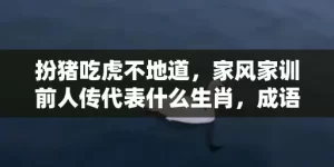 扮猪吃虎不地道，家风家训前人传代表什么生肖，成语解释落实