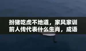 扮猪吃虎不地道，家风家训前人传代表什么生肖，成语解释落实