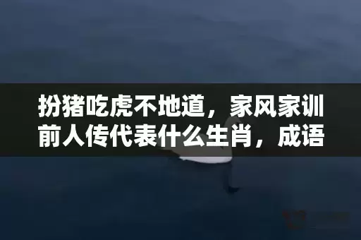 扮猪吃虎不地道，家风家训前人传代表什么生肖，成语解释落实