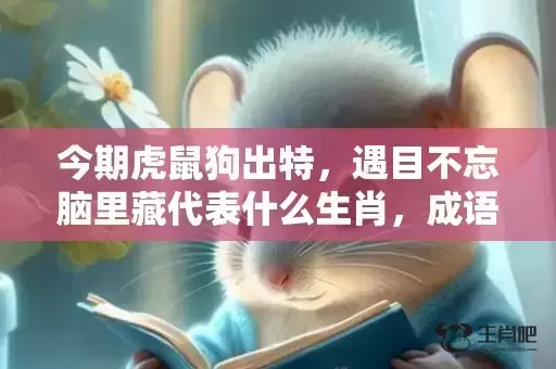今期虎鼠狗出特，遇目不忘脑里藏代表什么生肖，成语解释落实