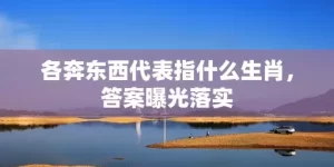 各奔东西代表指什么生肖，答案曝光落实