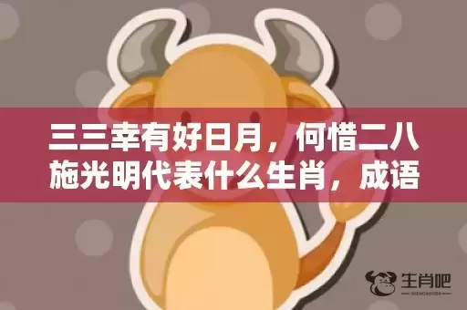 三三幸有好日月，何惜二八施光明代表什么生肖，成语解释落实