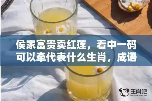 侯家富贵卖红莲，看中一码可以牵代表什么生肖，成语解释落实