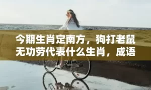 今期生肖定南方，狗打老鼠无功劳代表什么生肖，成语解释落实