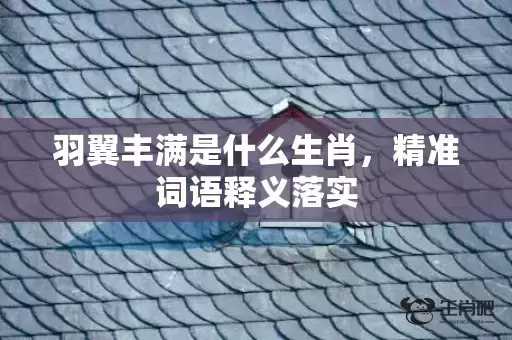 羽翼丰满是什么生肖，精准词语释义落实