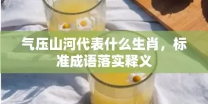 气压山河代表什么生肖，标准成语落实释义