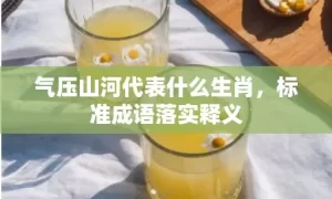 气压山河代表什么生肖，标准成语落实释义