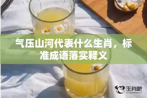 气压山河代表什么生肖，标准成语落实释义
