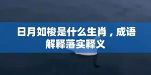 日月如梭是什么生肖 , 成语解释落实释义