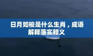 日月如梭是什么生肖 , 成语解释落实释义